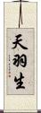 天羽生 Scroll