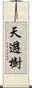 天遊樹 Scroll