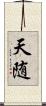 天随 Scroll