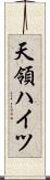 天領ハイツ Scroll