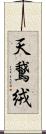 天鵞絨 Scroll