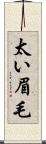 太い眉毛 Scroll