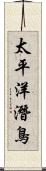 太平洋潛鳥 Scroll