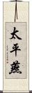 太平燕 Scroll