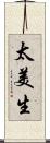 太美生 Scroll