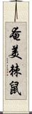 奄美棘鼠 Scroll