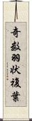 奇数羽状複葉 Scroll