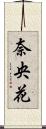 奈央花 Scroll