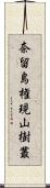 奈留島権現山樹叢 Scroll