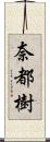 奈都樹 Scroll