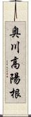 奥川高陽根 Scroll