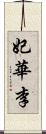 妃華李 Scroll