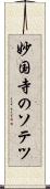 妙国寺のソテツ Scroll