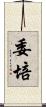 委培 Scroll