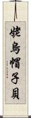 姥烏帽子貝 Scroll