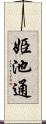 姫池通 Scroll