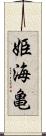 姫海亀 Scroll
