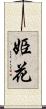 姫花 Scroll