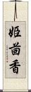 姫茴香 Scroll
