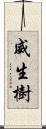 威生樹 Scroll