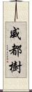 威都樹 Scroll