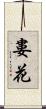 婁花 Scroll