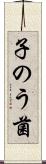 子のう菌 Scroll