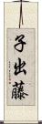 子出藤 Scroll