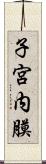 子宮内膜 Scroll