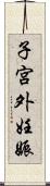 子宮外妊娠 Scroll