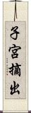 子宮摘出 Scroll