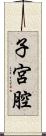 子宮腔 Scroll