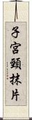 子宮頸抹片 Scroll