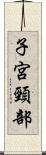 子宮頸部 Scroll