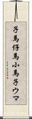 子馬;仔馬;小馬;子ウマ Scroll