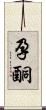 孕酮 Scroll