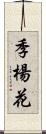 季楊花 Scroll