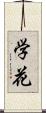 学花 Scroll