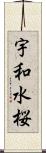 宇和水桜 Scroll