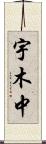 宇木中 Scroll