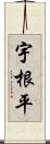 宇根平 Scroll