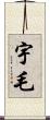 宇毛 Scroll