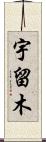 宇留木 Scroll