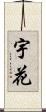 宇花 Scroll