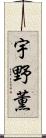 宇野薫 Scroll