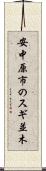 安中原市のスギ並木 Scroll
