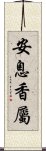 安息香屬 Scroll