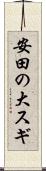 安田の大スギ Scroll