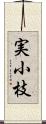 実小枝 Scroll