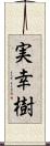 実幸樹 Scroll